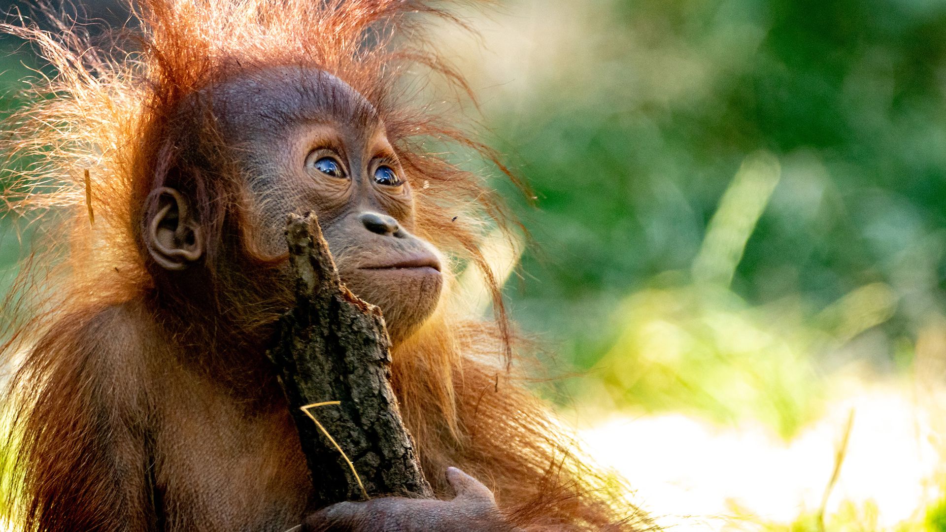 AdobeStock_350309340