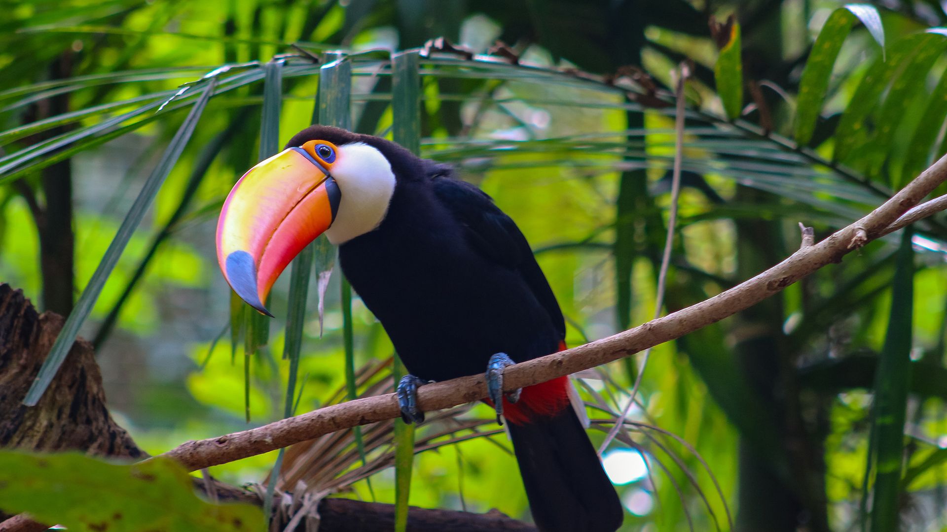 AdobeStock_288310811