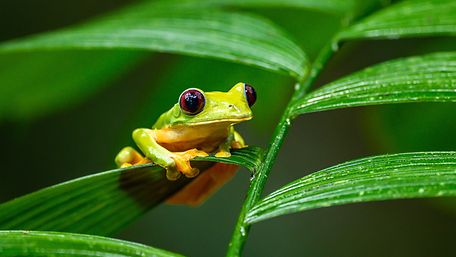 AdobeStock_317569535