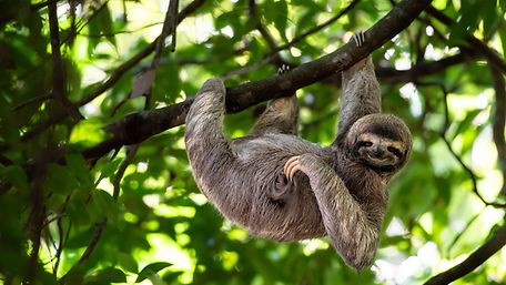 AdobeStock_353251094